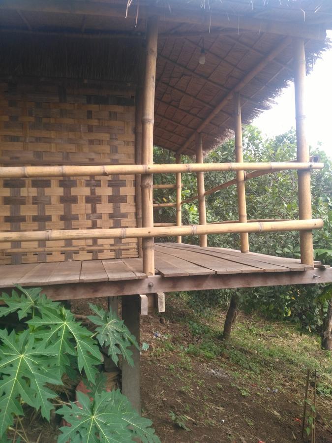 Tree Lodge Banlung Exteriör bild